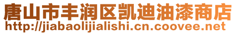 唐山市豐潤(rùn)區(qū)凱迪油漆商店