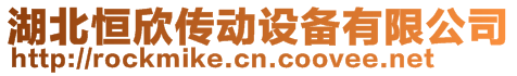 湖北恒欣傳動(dòng)設(shè)備有限公司