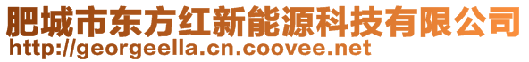 肥城市東方紅新能源科技有限公司