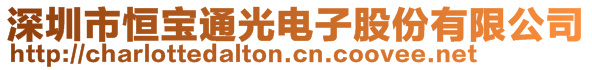 深圳市恒寶通光電子股份有限公司