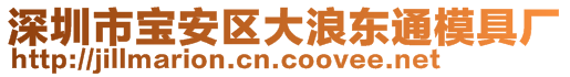 深圳市宝安区大浪东通模具厂