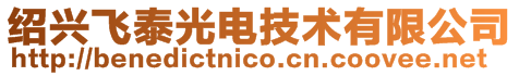 紹興飛泰光電技術有限公司