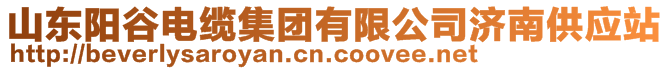 山東陽谷電纜集團(tuán)有限公司濟(jì)南供應(yīng)站