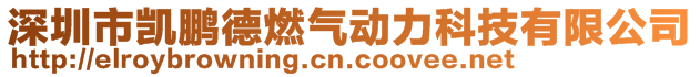 深圳市凱鵬德燃氣動力科技有限公司