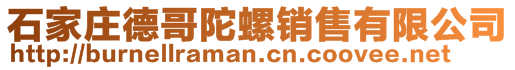 石家莊德哥陀螺銷售有限公司