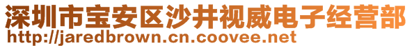 深圳市寶安區(qū)沙井視威電子經(jīng)營部