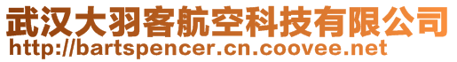 武漢大羽客航空科技有限公司