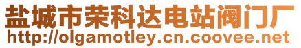 鹽城市榮科達(dá)電站閥門廠