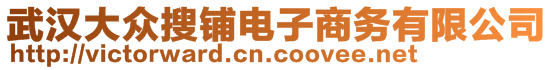 武漢大眾搜鋪電子商務(wù)有限公司