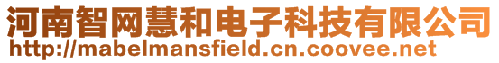 河南智網(wǎng)慧和電子科技有限公司