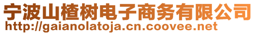 寧波山楂樹電子商務有限公司