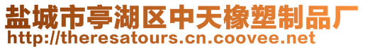 鹽城市亭湖區(qū)中天橡塑制品廠(chǎng)