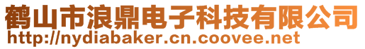 鶴山市浪鼎電子科技有限公司