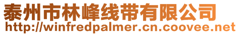 泰州市林峰線帶有限公司