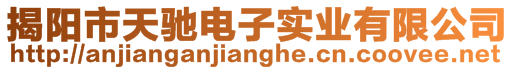 揭陽(yáng)市天馳電子實(shí)業(yè)有限公司