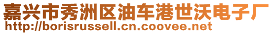 嘉興市秀洲區(qū)油車港世沃電子廠