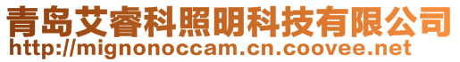 青島艾睿科照明科技有限公司