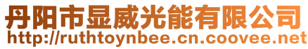 丹陽市顯威光能有限公司