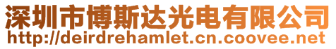 深圳市博斯達光電有限公司