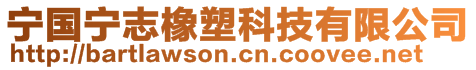 寧國(guó)寧志橡塑科技有限公司