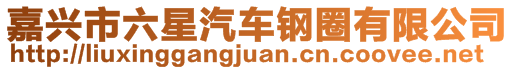 嘉興市六星汽車鋼圈有限公司