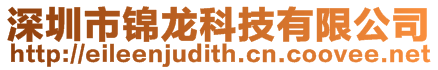 深圳市錦龍科技有限公司