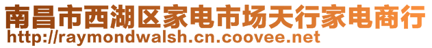 南昌市西湖区家电市场天行家电商行