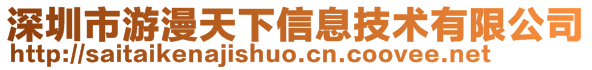 深圳市游漫天下信息技術(shù)有限公司