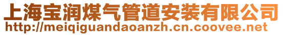 上海寶潤煤氣管道安裝有限公司