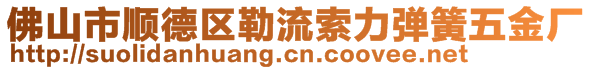 佛山市順德區(qū)勒流索力彈簧五金廠