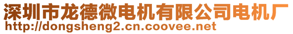 深圳市龙德微电机有限公司电机厂