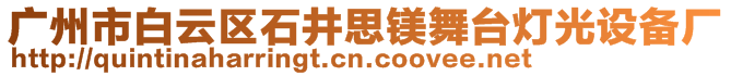 廣州市白云區(qū)石井思鎂舞臺燈光設(shè)備廠