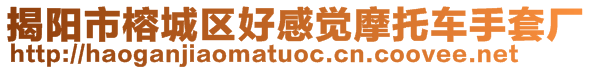 揭陽市榕城區好感覺摩托車手套廠