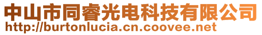 中山市同睿光电科技有限公司