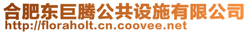 合肥東巨騰公共設(shè)施有限公司