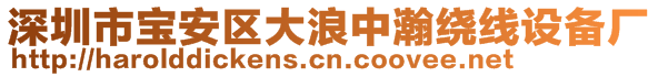 深圳市寶安區(qū)大浪中瀚繞線設(shè)備廠