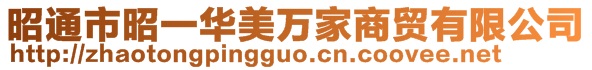 昭通市昭一華美萬家商貿有限公司