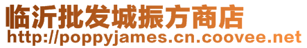 臨沂批發城振方商店