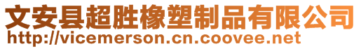 文安县超胜橡塑制品有限公司