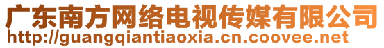 廣東南方網(wǎng)絡(luò)電視傳媒有限公司