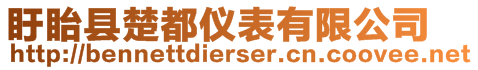 盱眙县楚都仪表有限公司