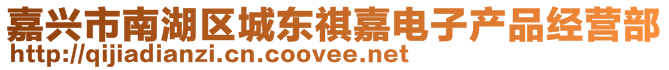 嘉興市南湖區城東祺嘉電子產品經營部