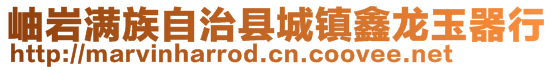 岫巖滿族自治縣城鎮鑫龍玉器行