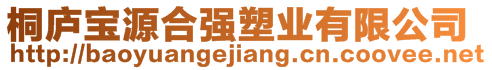 桐廬寶源合強(qiáng)塑業(yè)有限公司