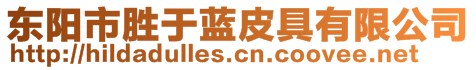 東陽市勝于藍皮具有限公司