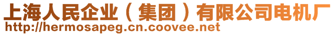 上海人民企業(yè)（集團(tuán)）有限公司電機(jī)廠