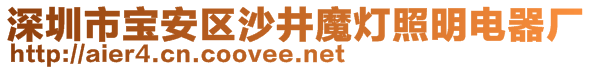 深圳市寶安區(qū)沙井魔燈照明電器廠