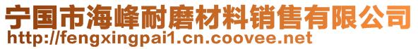 宁国市海峰耐磨材料销售有限公司