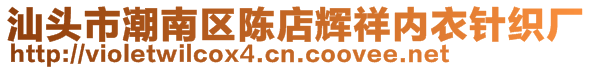 汕頭市潮南區(qū)陳店輝祥內(nèi)衣針織廠