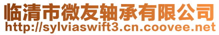 临清市微友轴承有限公司